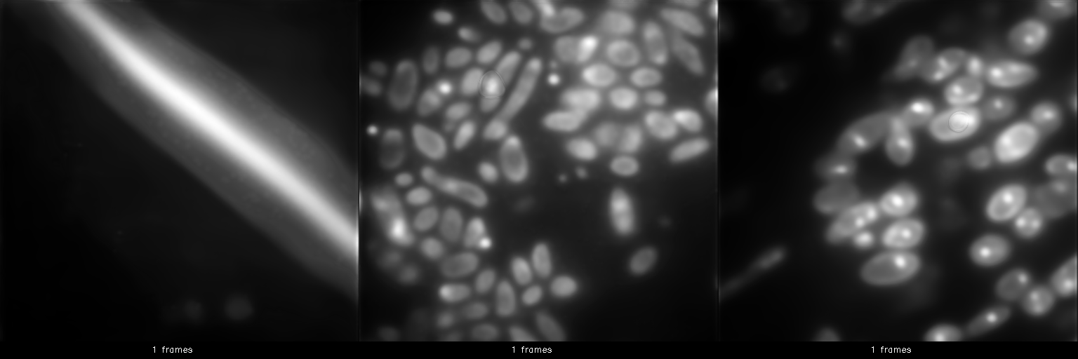 Sparse reconstruction animation